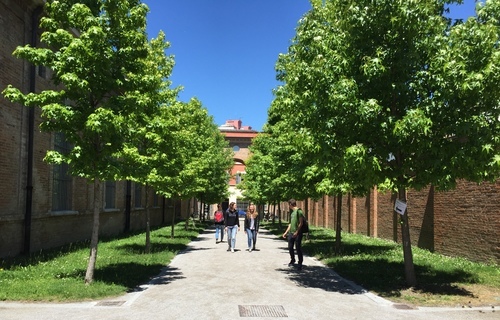 500X320_Viale_Arata